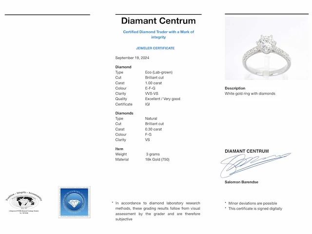 Witgouden ring diamant 1.00 ct - afbeelding 7 van  7