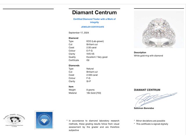 Witgouden ring diamant 2.00 ct - afbeelding 3 van  11