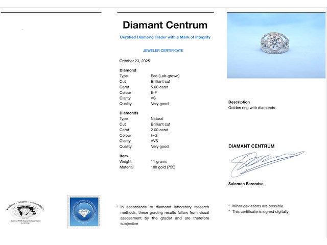 Witgouden ring diamant 5.00 carat - afbeelding 3 van  11
