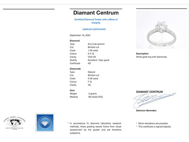 Witgouden ring met diamant 1.00 carat - afbeelding 3 van  5