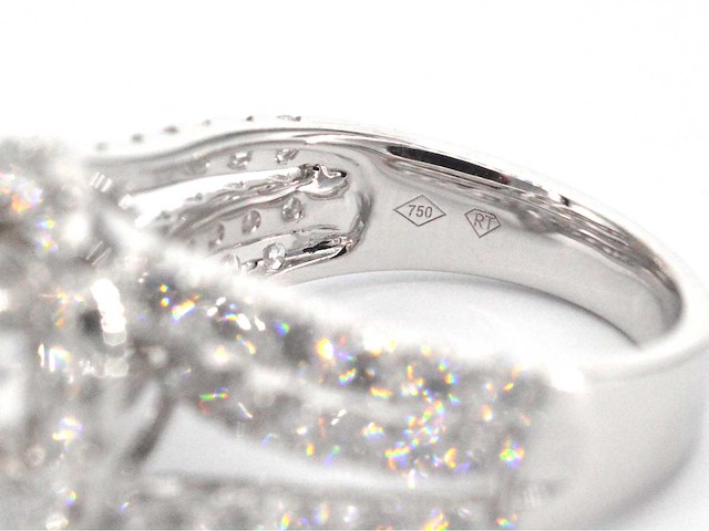 Witgouden ring met diamanten en een briljant geslepen diamant van 3.00 carat - afbeelding 4 van  11