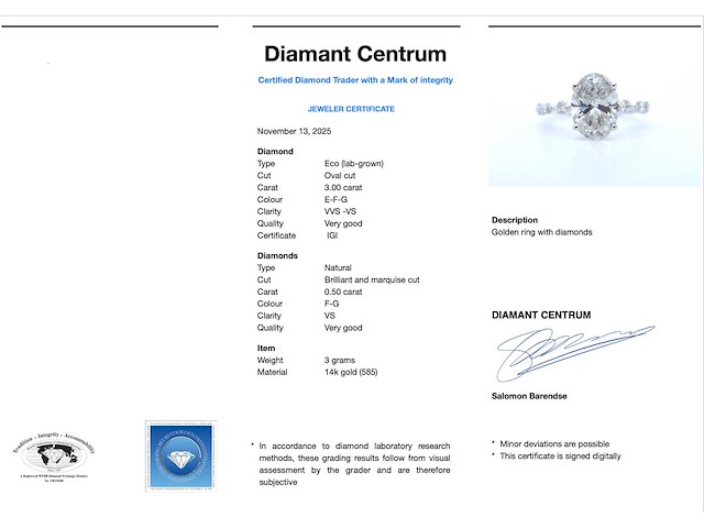 Witgouden ring met een ovale diamant van 3.00 carat - afbeelding 5 van  11