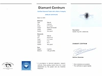 Witgouden ring zwarte diamant - afbeelding 7 van  8