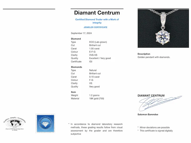 Witgouden solitair hanger diamant 1.00 ct - afbeelding 6 van  6