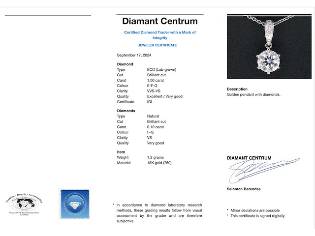 Witgouden solitair hanger met een diamant 1.00 carat - afbeelding 3 van  6