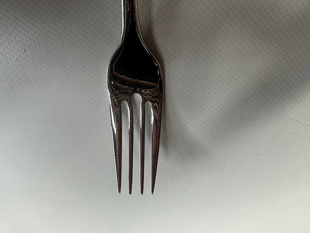 Wmf onda visvorken 18/10 roestvrij staal 18,5cm (100x) - afbeelding 3 van  4