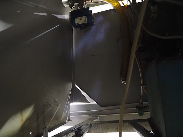 Wolfking scanio - afbeelding 17 van  27