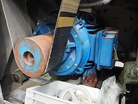 Wolfking - afbeelding 4 van  14