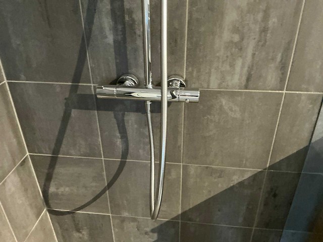 Wolo / hansgröhe douchecombinatie - afbeelding 5 van  8