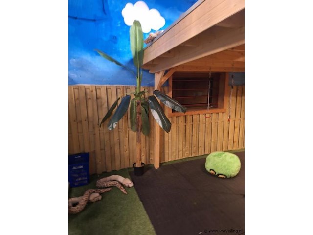 Woodpro tuinhuis met overkapping - 500x360cm - afbeelding 5 van  13