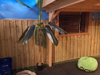 Woodpro tuinhuis met overkapping - 500x360cm - afbeelding 5 van  13