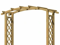 Woodvision grenen rozenboog - 285x230x45 cm - afbeelding 2 van  3