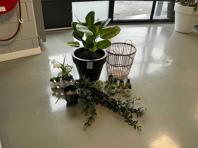 Woonaccessoires - afbeelding 1 van  5