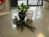 Woonaccessoires - afbeelding 1 van  5