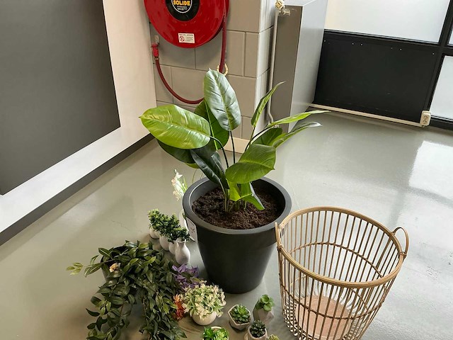 Woonaccessoires - afbeelding 3 van  5