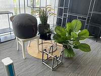 Woonaccessoires - afbeelding 1 van  5