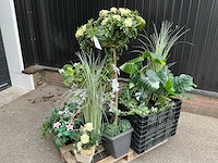 Woonaccessoires - afbeelding 1 van  6