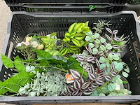 Woonaccessoires - afbeelding 4 van  6