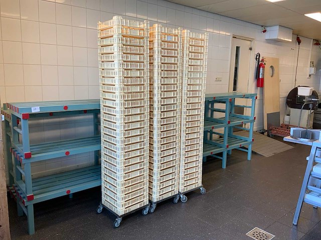 Wopla plastics kunststof kratten (110x) - afbeelding 1 van  6