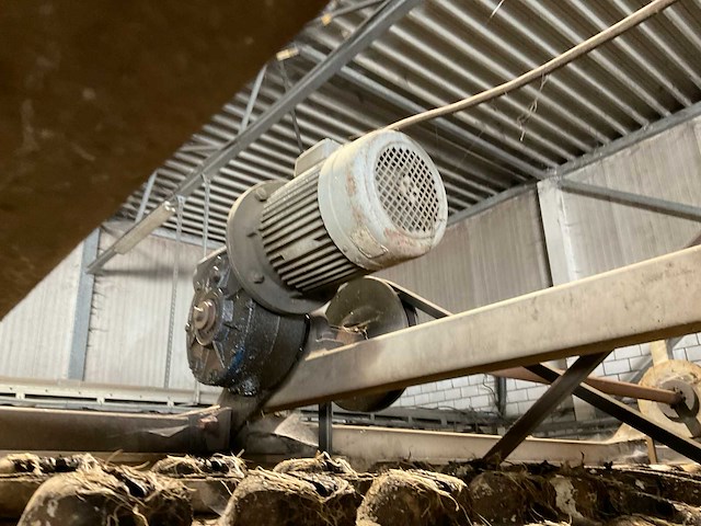 Wortel spoellijn - afbeelding 18 van  63