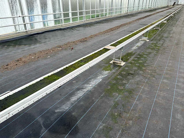 Wps gordelband wps transportband 58mtr - afbeelding 3 van  12