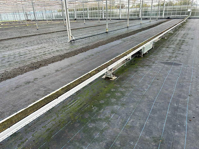 Wps gordelband wps transportband 58mtr - afbeelding 9 van  12
