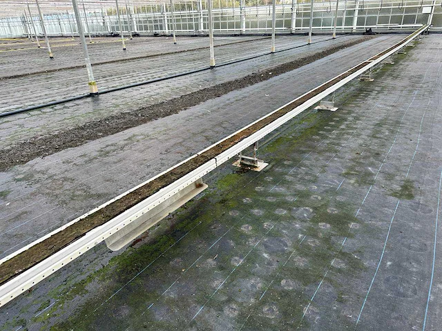 Wps gordelband wps transportband 58mtr - afbeelding 10 van  12