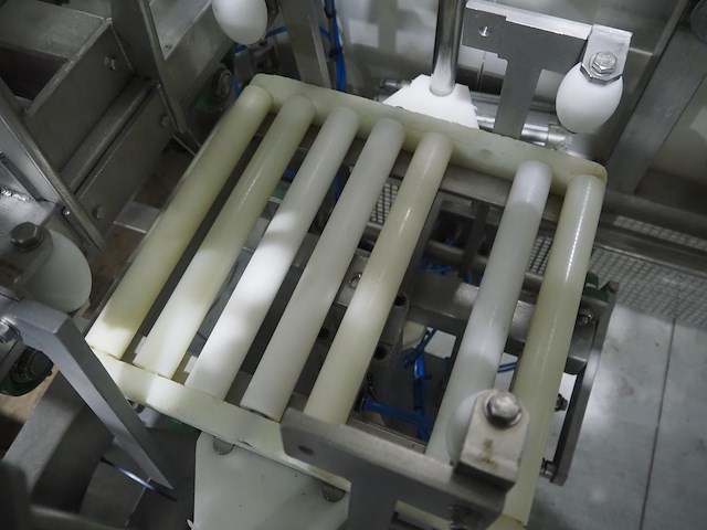 Wright pugson - afbeelding 4 van  18