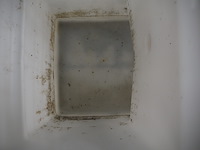 Wydale - afbeelding 7 van  9