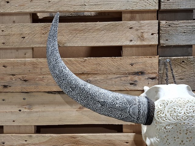 Xxl hand gegraveerde buffalo schedel, 2024 - afbeelding 2 van  12