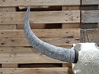 Xxl hand gegraveerde buffalo schedel, 2024 - afbeelding 2 van  12