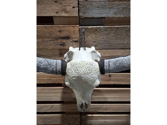 Xxl hand gegraveerde buffalo schedel, 2024 - afbeelding 4 van  12