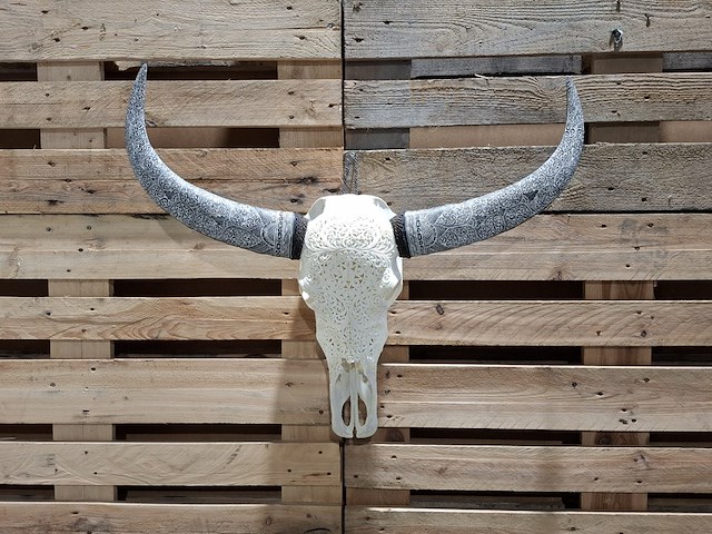 Xxl hand gegraveerde buffalo schedel, 2024 - afbeelding 1 van  12