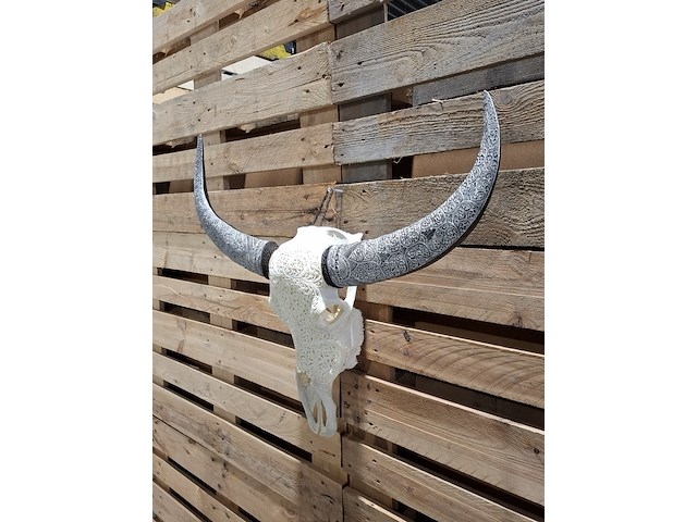 Xxl hand gegraveerde buffalo schedel, 2024 - afbeelding 5 van  12