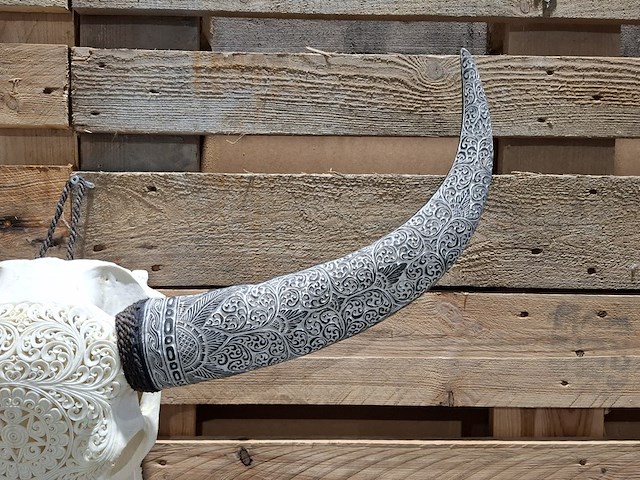 Xxl hand gegraveerde buffalo schedel, 2024 - afbeelding 6 van  12