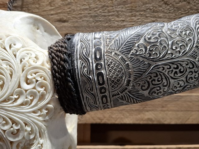 Xxl hand gegraveerde buffalo schedel, 2024 - afbeelding 7 van  12
