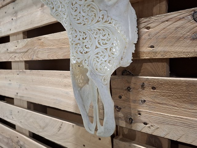 Xxl hand gegraveerde buffalo schedel, 2024 - afbeelding 9 van  12