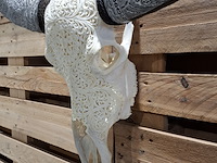 Xxl hand gegraveerde buffalo schedel, 2024 - afbeelding 10 van  12