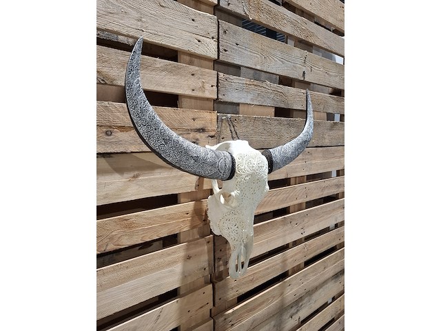 Xxl hand gegraveerde buffalo schedel, 2024 - afbeelding 11 van  12