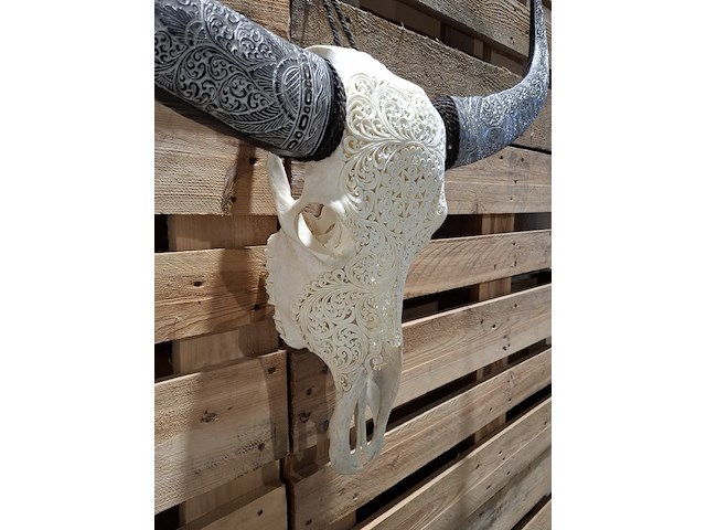 Xxl hand gegraveerde buffalo schedel, 2024 - afbeelding 12 van  12