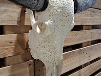 Xxl hand gegraveerde buffalo schedel, 2024 - afbeelding 12 van  12