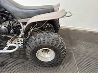 Yamaha - warrior 350 - quad - 1998 - afbeelding 9 van  17