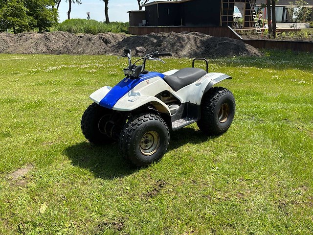 Yamaha breeze quad - afbeelding 1 van  11