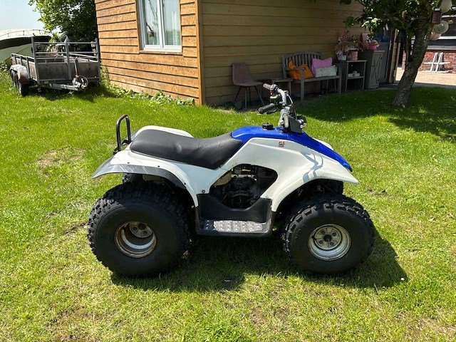 Yamaha breeze quad - afbeelding 6 van  11