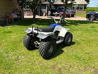 Yamaha breeze quad - afbeelding 7 van  11