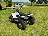 Yamaha breeze quad - afbeelding 8 van  11