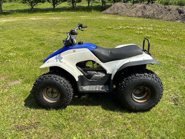 Yamaha breeze quad - afbeelding 9 van  11