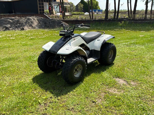 Yamaha breeze quad - afbeelding 1 van  12