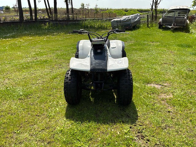 Yamaha breeze quad - afbeelding 5 van  12