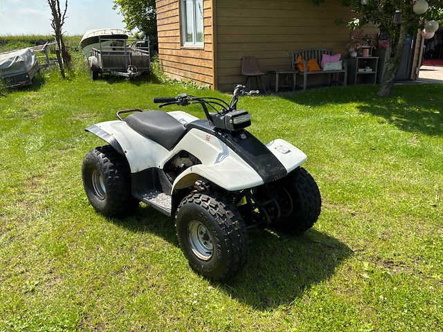 Yamaha breeze quad - afbeelding 6 van  12